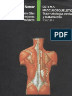 NETTER Sistema Musculoesqueletico