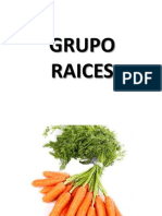 Grupo Raices