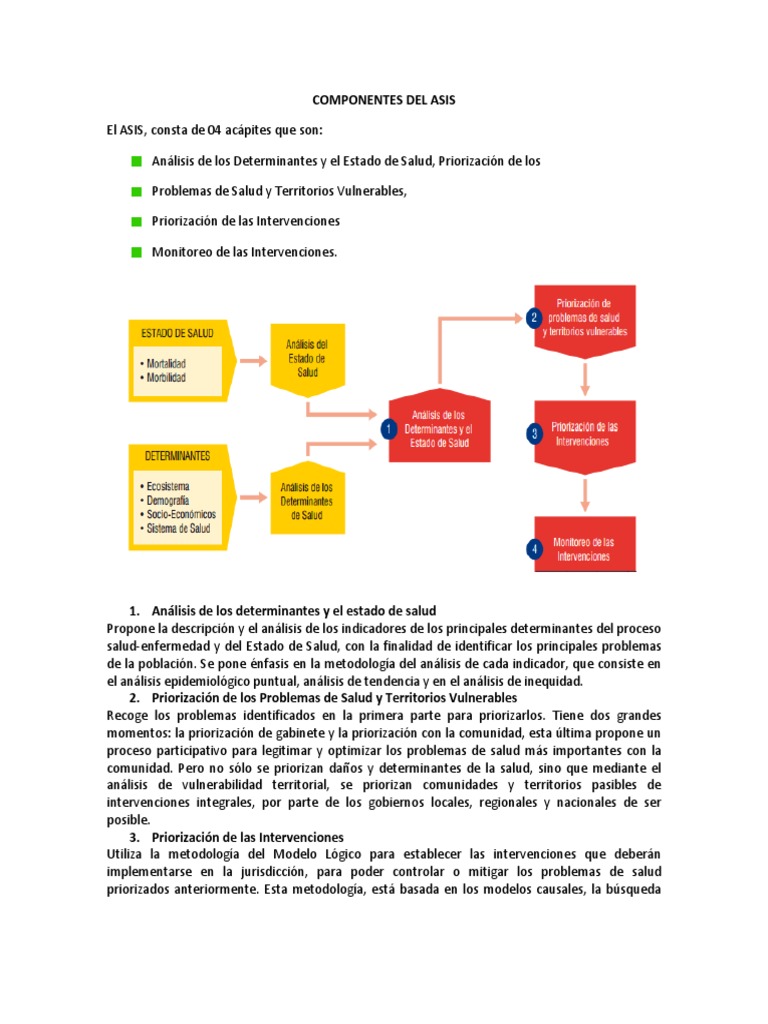 Componentes del ASIS en Salud | PDF | Toma de decisiones | Información