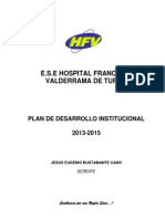 Plan de Desarrollo HFV 2013