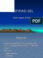 Respirasi Sel