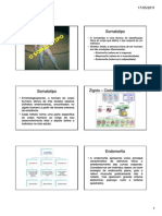 Módulo 03 Somatotipo