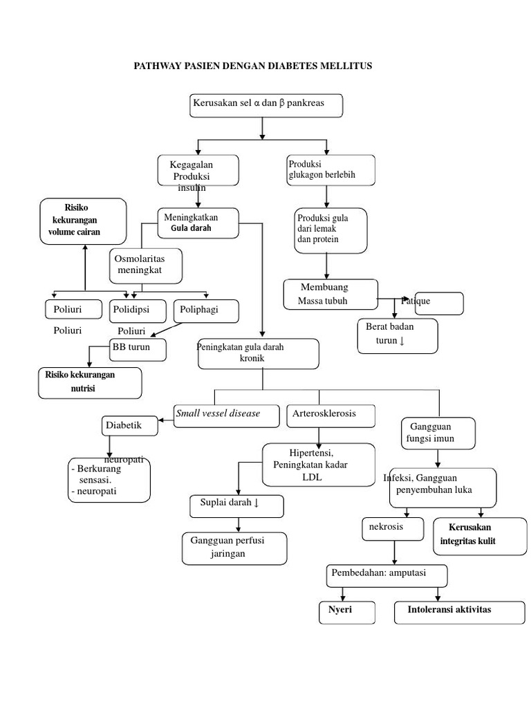 Pathway Pasien Dengan Diabetes Mellitus | PDF