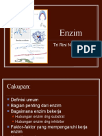 Enzim