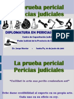 Pericias Judiciales - Presentación Jorge Nessier Módulo 1