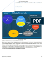 Meio Circulante - Esquema Detalhado