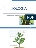 Biologia10 Transportenasplantas 130922141651 Phpapp01 PDF