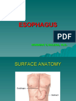 Esophagus 10 27