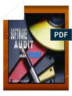 2-Software Audit & Prosedur