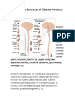 Medidas para Fortalecer El Sistema Nervioso PDF