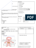 EVALUACIONES DEL DIAGNOSTICO 2014.docx