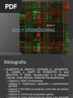 1. ADN y Cromosomas