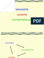 Managers, Leaders, Entrepreneurs (1)