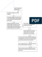 Protein Digestion Chart Nutrition 1a