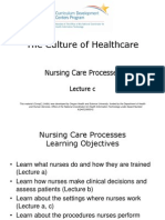 The Culture of Healthcare: Nursing Care Processes