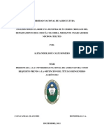 Documento Final