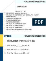 Calculos Basicos SX 1