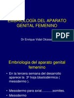 Embriologia Genitales Femeninos URP