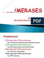 Polymerases,