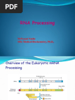 Rna Processing: M.Prasad Naidu MSC Medical Biochemistry, PH.D