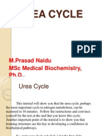 Urea Cycle