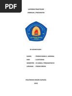 Download PNEUMATIK by L Silva SN222019147 doc pdf