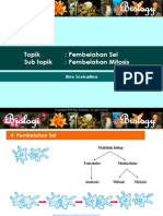 Pembelahan Sel - Mitosis