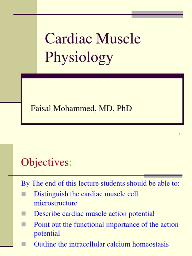 Cardiac Muscle Physiology Overview | PDF