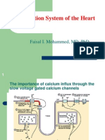 conduction system-students-f