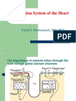 Conduction System-Students-F