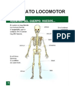 Ciencias Naturales - El Aparato Locomotor