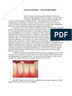Parodontita Ulcero-necrotica - Caracteristici Clinice (Clinical Periodontology and Implant Dentistry, Fifth Edition, Lindhe)