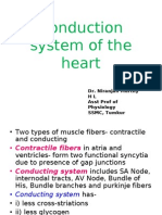 Conduction System of the Heart