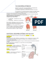 Movimentos respiratórios