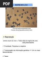 Unidade 09_Sistema Reprodutivo
