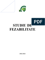 Studiu de Fezabilitate