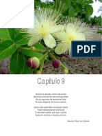 Capitulo_9Caracterizaçaodafauna e Flora Do Cerrado