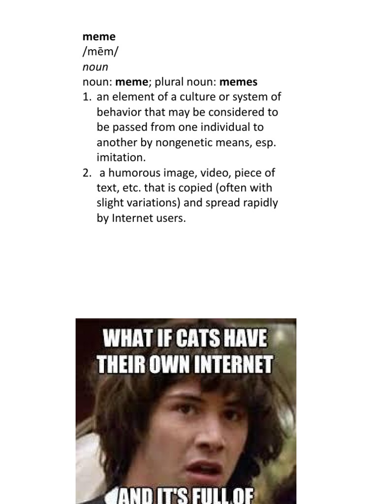 Understanding Memes and Their Impact | PDF