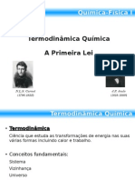 Termodinâmica Química A Primeira Lei