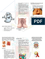 TRIPTICO - Enfermedades de Transmision