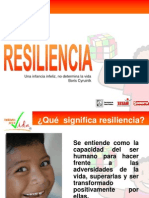 5.0 Resiliencia