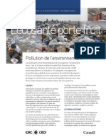 Pollution-de-l-environment.pdf