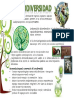 Lamina Biodiversidad1.