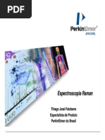 PErkinElmer Raman AGO2008