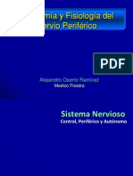 03. Anatomía y Fisiología Del Nervio Periferico