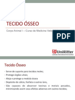 Tecido Osseo