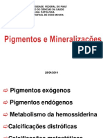 Pigmentos e Mineralizacoes Prof Rafael