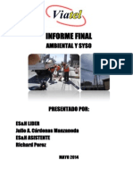 Informe Final Viatel