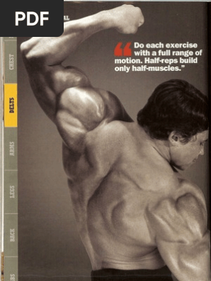 Arnold Schwarzenegger Bodybuilding Training Delts & Arms