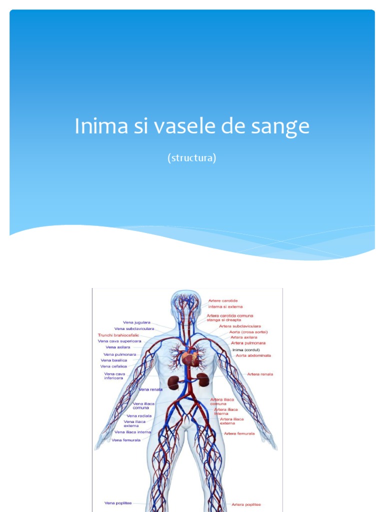 Proiect Inima | PDF
